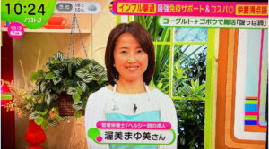 【テレビ出演】フジテレビ「ノンストップ」鍋のイメージ