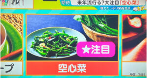 【テレビ出演】TBSひるおび！空芯菜についてのイメージ