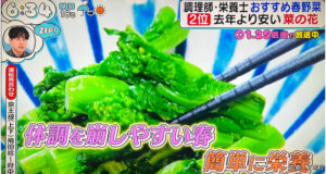 【監修】日本テレビ「ZIP!」春野菜についてのイメージ