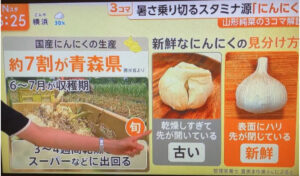 【テレビ出演】TBSテレビ「Nスタ」ニンニクについてのイメージ