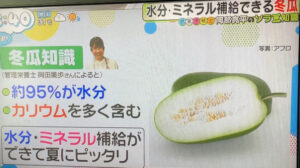 【テレビ出演】日本テレビ「ZIP！」冬瓜についてのイメージ