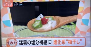 【テレビ出演】TBSテレビ「Nスタ」梅干しについてのイメージ